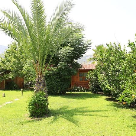 Tunays Pansiyon Bed and Breakfast Çıralı Εξωτερικό φωτογραφία