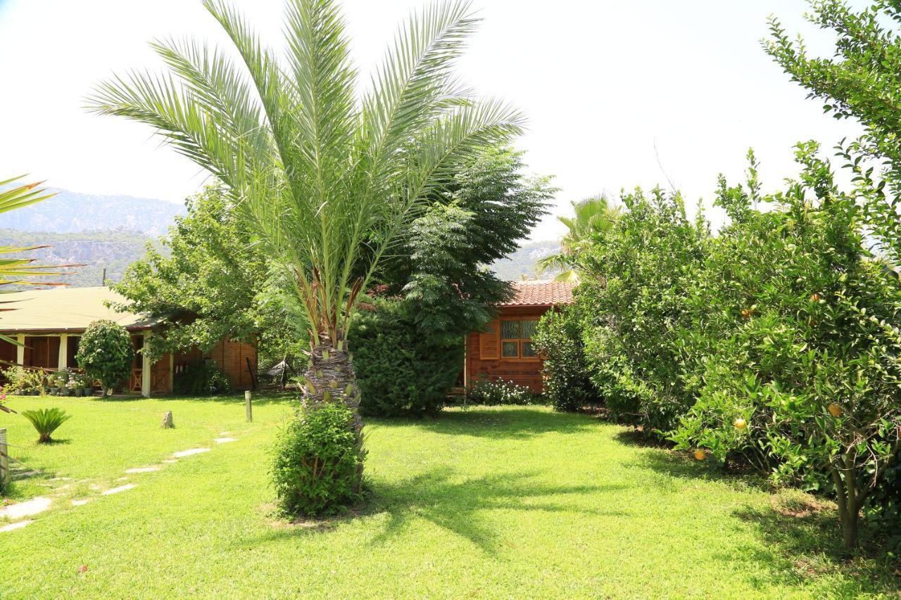 Tunays Pansiyon Bed and Breakfast Çıralı Εξωτερικό φωτογραφία