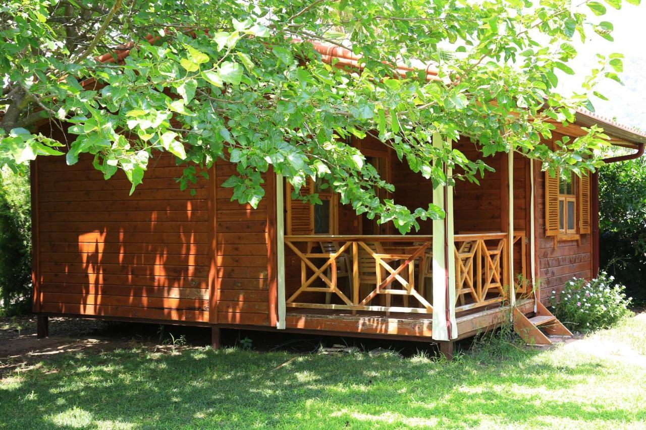 Tunays Pansiyon Bed and Breakfast Çıralı Δωμάτιο φωτογραφία