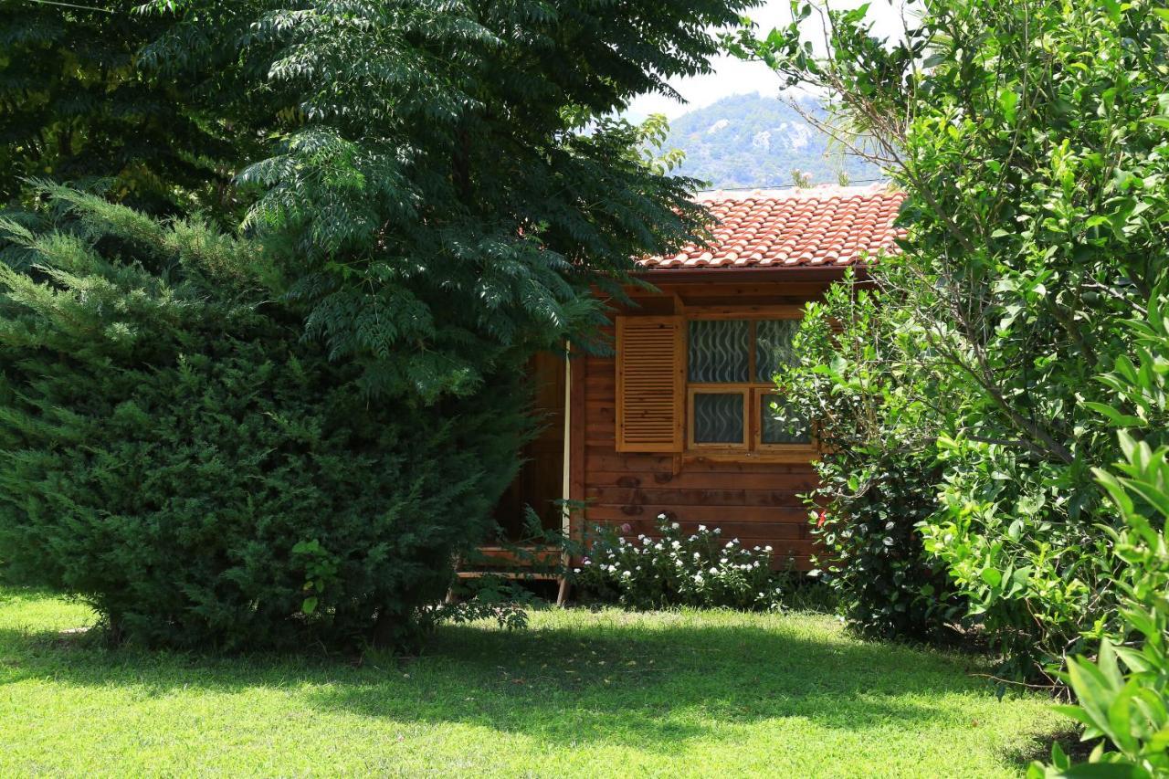 Tunays Pansiyon Bed and Breakfast Çıralı Δωμάτιο φωτογραφία