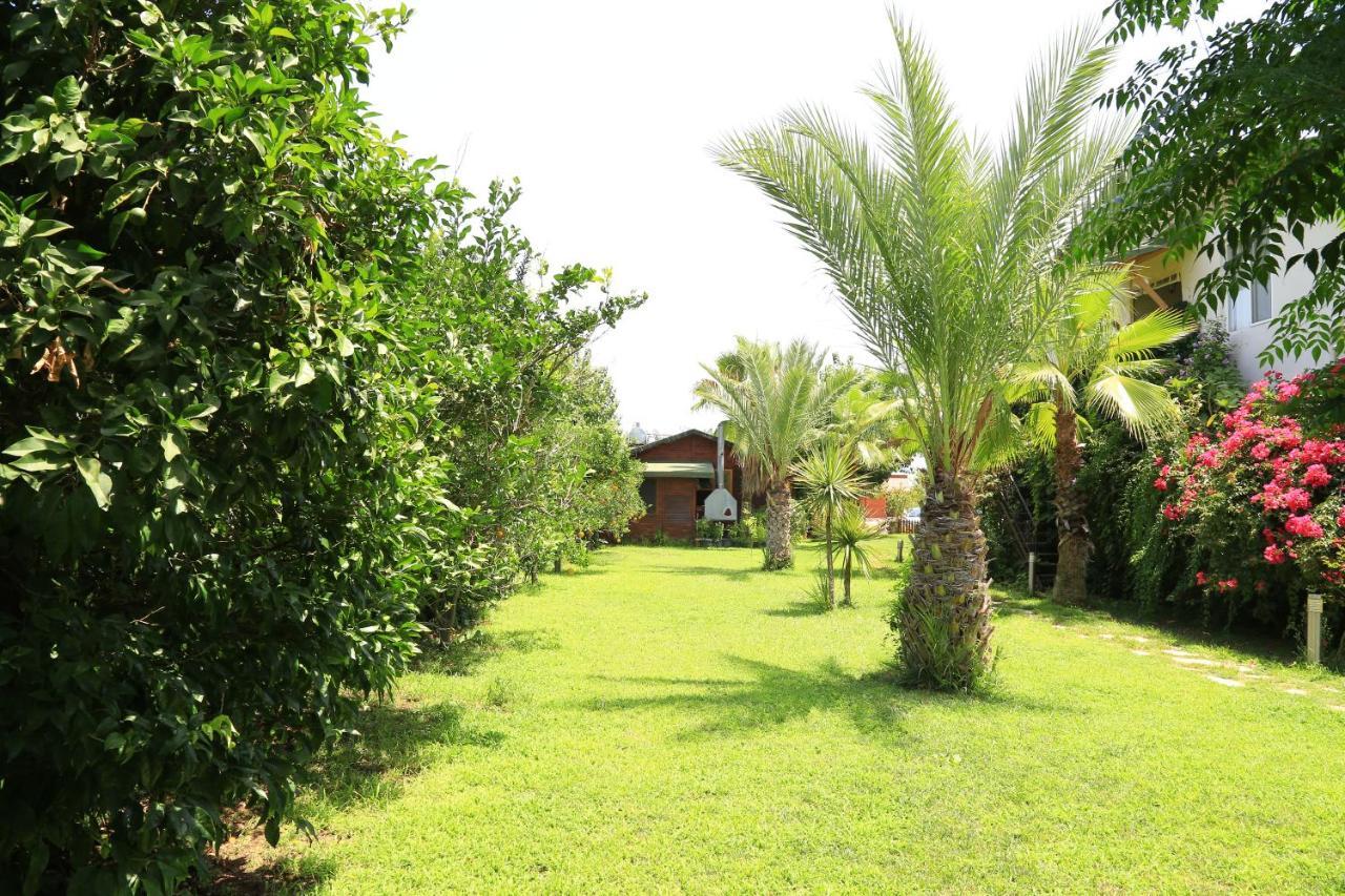 Tunays Pansiyon Bed and Breakfast Çıralı Δωμάτιο φωτογραφία