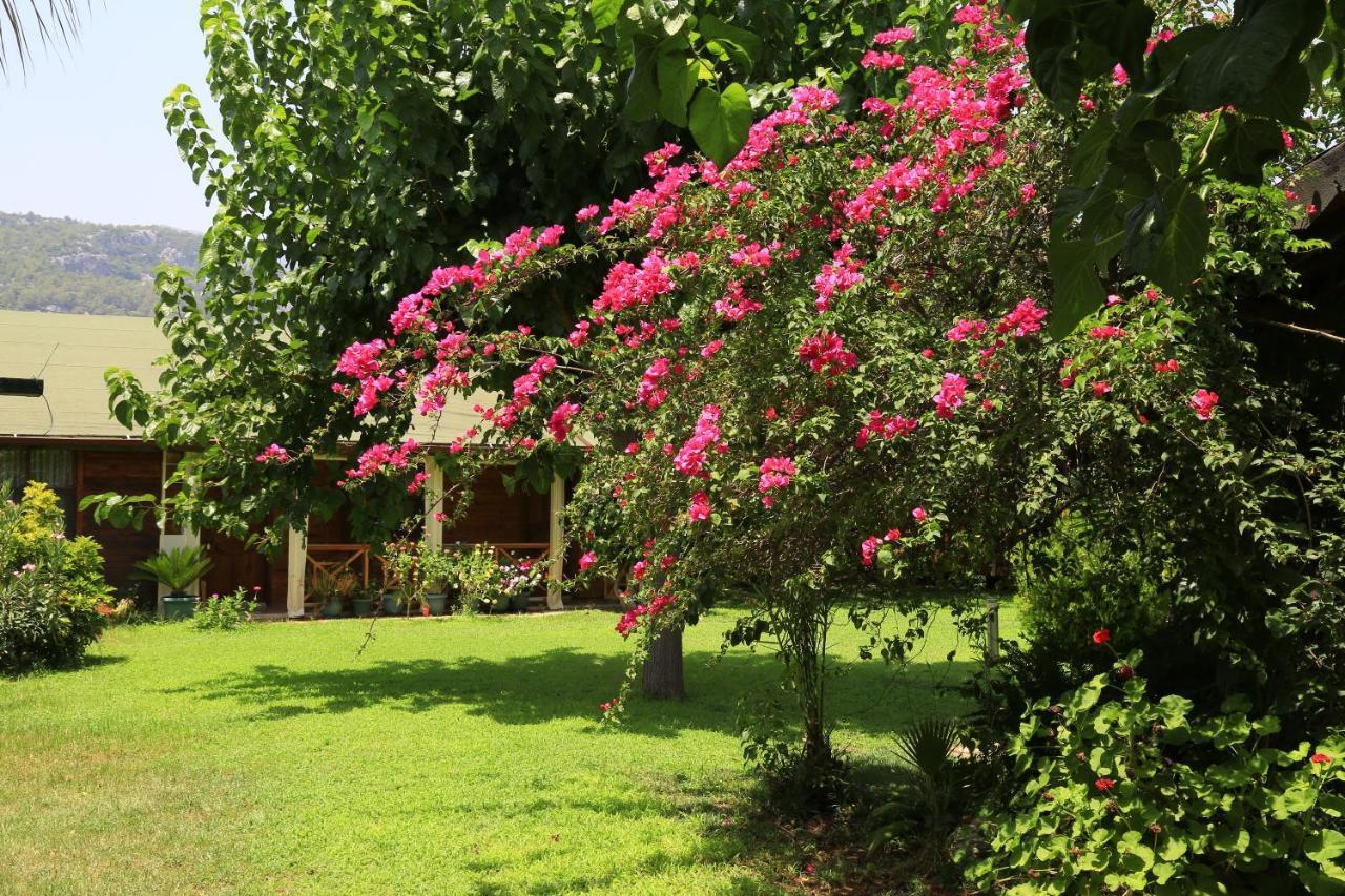 Tunays Pansiyon Bed and Breakfast Çıralı Εξωτερικό φωτογραφία