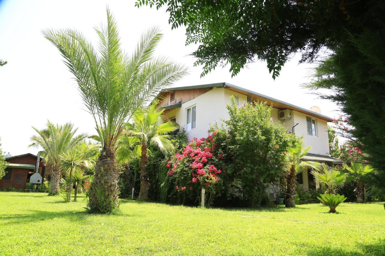Tunays Pansiyon Bed and Breakfast Çıralı Δωμάτιο φωτογραφία
