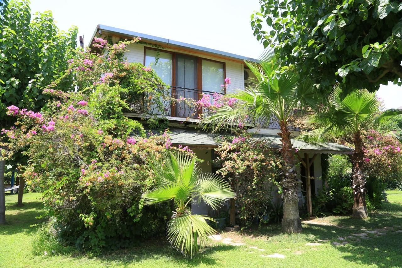 Tunays Pansiyon Bed and Breakfast Çıralı Εξωτερικό φωτογραφία