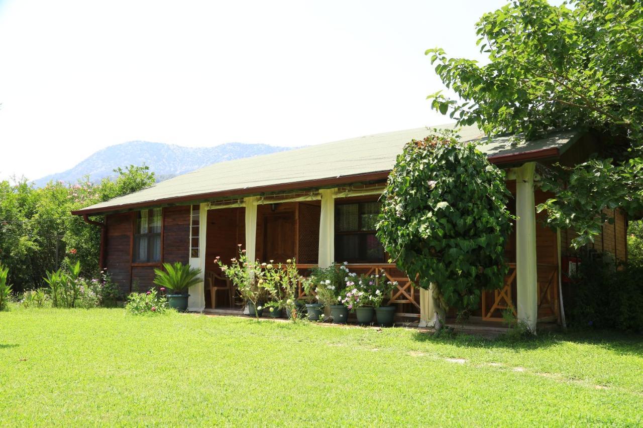 Tunays Pansiyon Bed and Breakfast Çıralı Δωμάτιο φωτογραφία